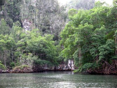 Parque Nacional Los Haïtises  Samaná